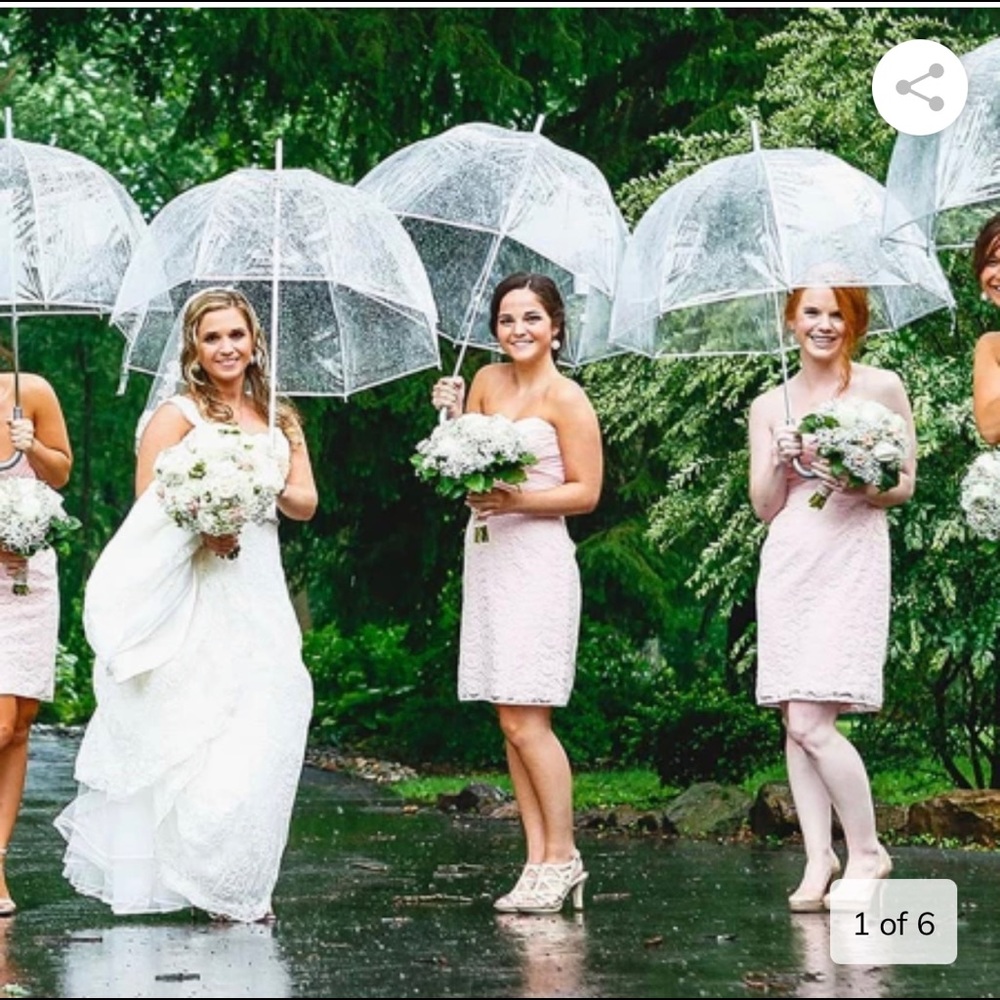 7 Clear Dome Umbrellas